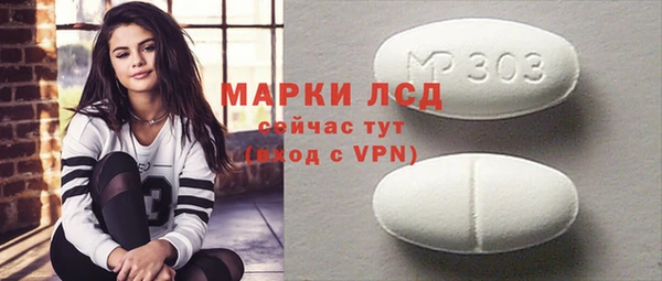 гашик Вязьма