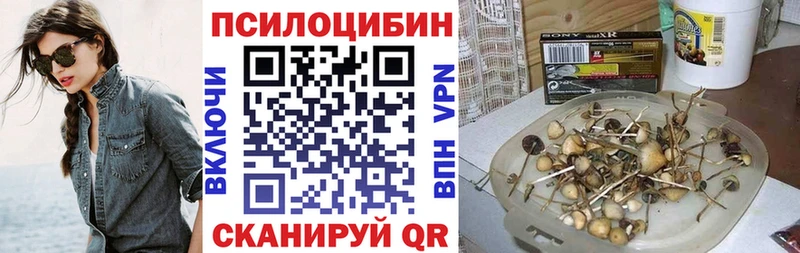 Псилоцибиновые грибы Psilocybine cubensis  гидра ССЫЛКА  Стародуб  где можно купить  