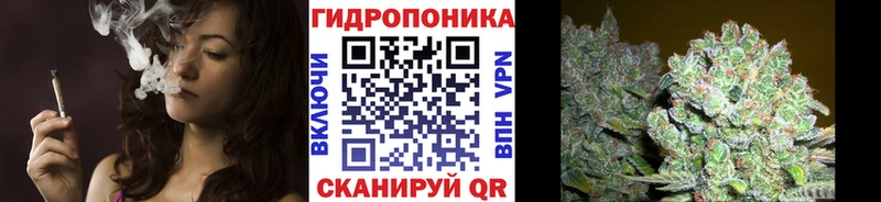 Конопля THC 21%  Стародуб 
